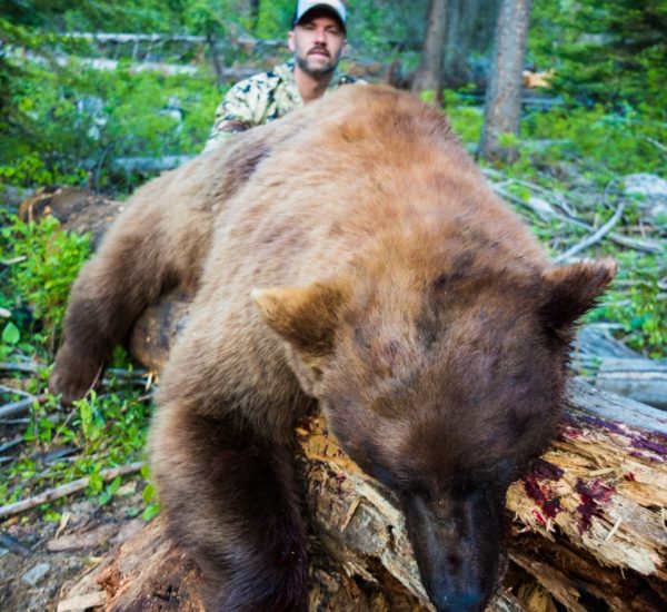 JLbear2