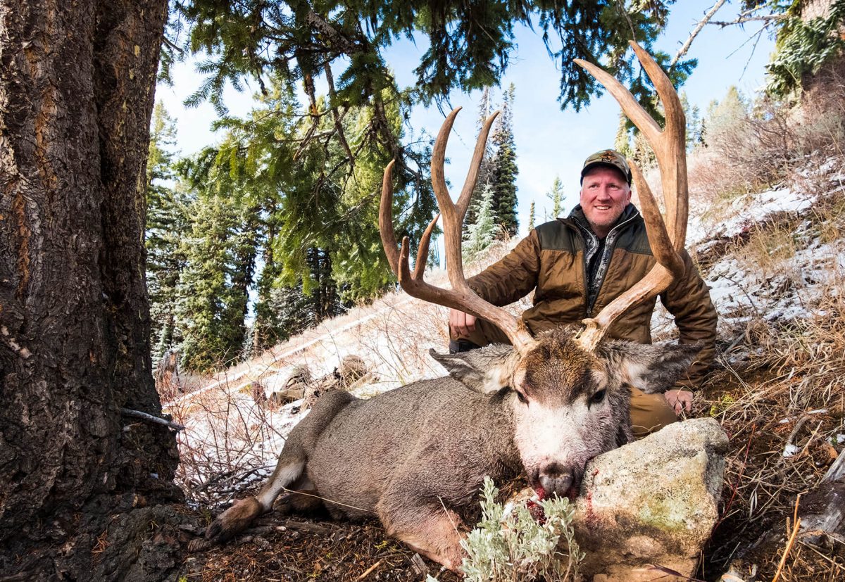 LateSeasonMuleDeer