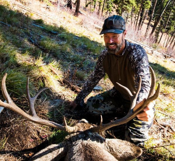 claybuck2