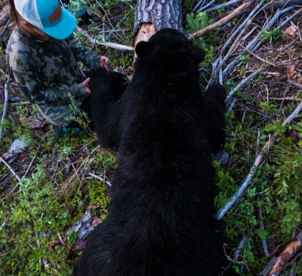 mbear4